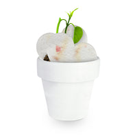 Mini White Terracotta Pots - Set of 12