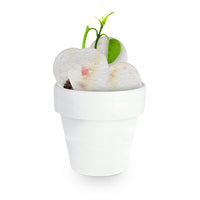 Mini White Terracotta Pots - Set of 12