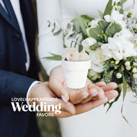 Mini White Terracotta Pots - Set of 12 - Seed Bloom Gifts