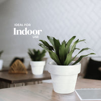 Mini White Terracotta Pots - Set of 12