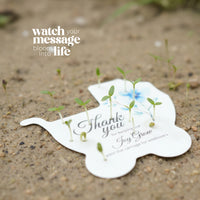 Baby Carriage shaped seed paper baby shower favor by Seed Bloom Gifts card with 'Thank you' message and sprouting seeds on a sandy background.