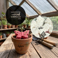 3D Pink Butterfly Plantable Seed Paper- Set of 24- Seed Bloom Gifts