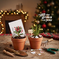 Bloom Illustrated Christmas Cards