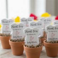 Small pot with pink onesie plantable seed paper baby shower favor by Seed Bloom Gift tags on a wooden surface