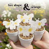 Four white pots with Bee Shaped Seed Paper Baby Shower Favor By Seed Bloom Gifts and orange terracotta pots, held by a hand against a blurred garden background.