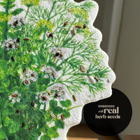 Bloom Plantable Herb Seed Paper
