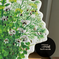 Herb seed paper with green leaves and seeds on a white background