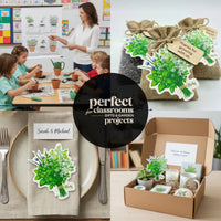 Bloom Plantable Herb Seed Paper