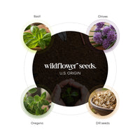 Promotional graphic for wildflower seeds with images of basil, chives, oregano, and dill seeds.