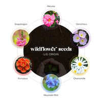 Confetti Seed Paper wildflower seeds infographic showing U.S. origin varieties including Petunia, Snapdragon, Oenothera, Chamomile, Mountain Mint, and Portulaca