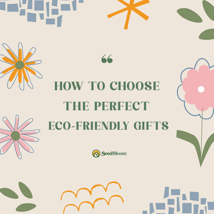 How to Choose the Perfect Eco-Friendly Gift