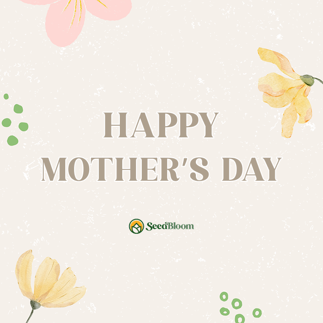 Last-Minute Mother's Day Gifts That Grow With Love