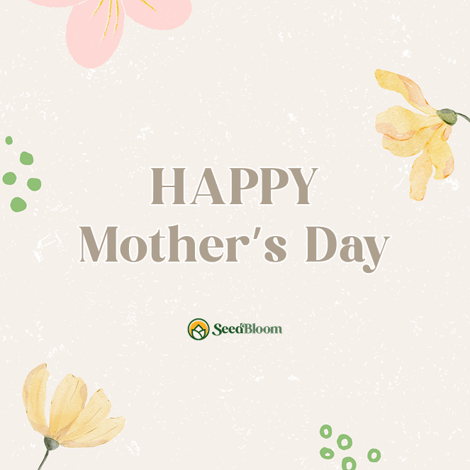 Last-Minute Mother's Day Gifts That Grow With Love