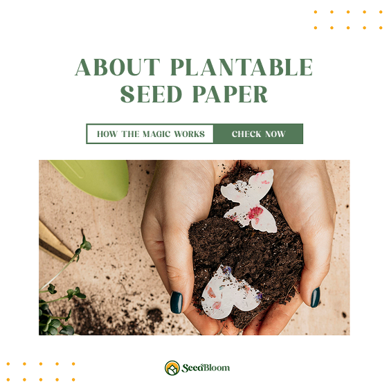 About Our Plantable Seed Paper and How Its Magic Works