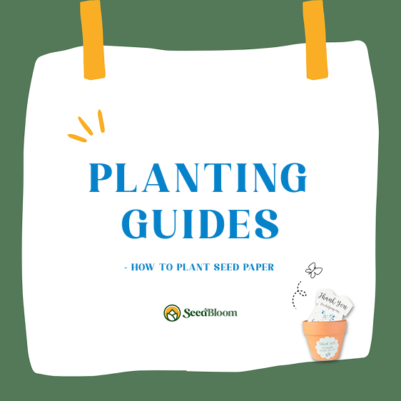 How To Plant The Seed Paper