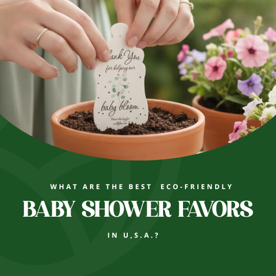 What Are the Best Eco-Friendly Baby Shower Favors in U.S.A.?