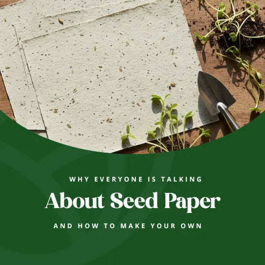 Why Everyone Is Talking About Seed Paper and How to Make Your Own