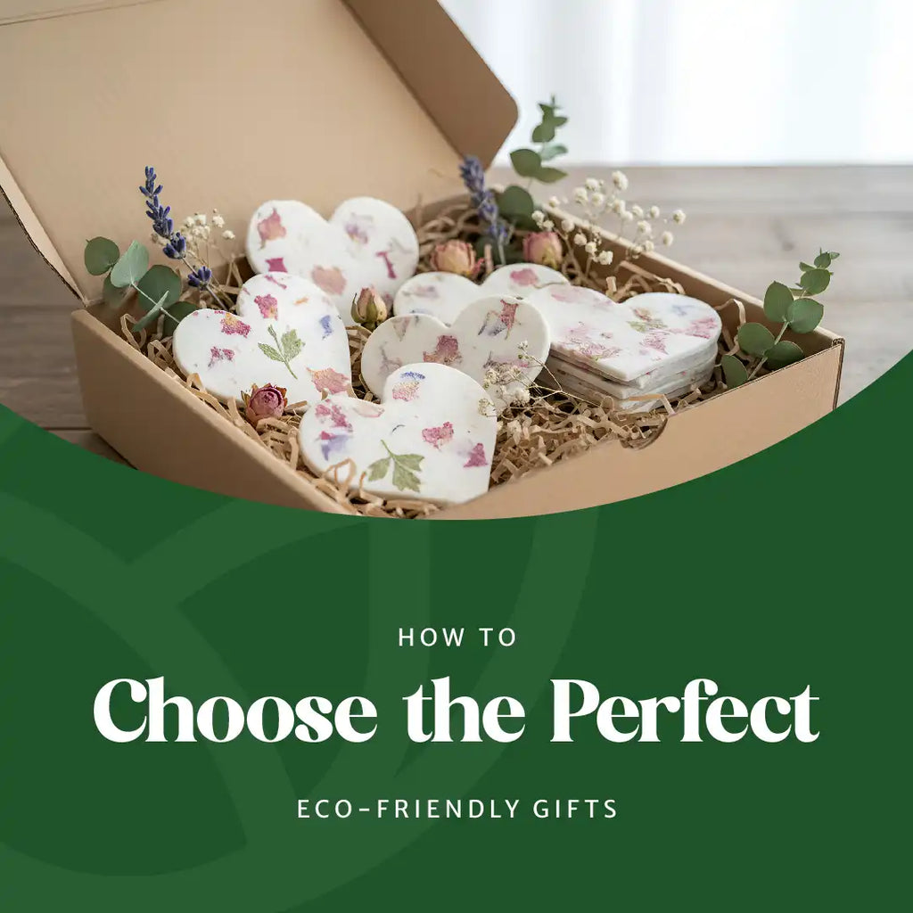 How to Choose the Perfect Eco-Friendly Gift