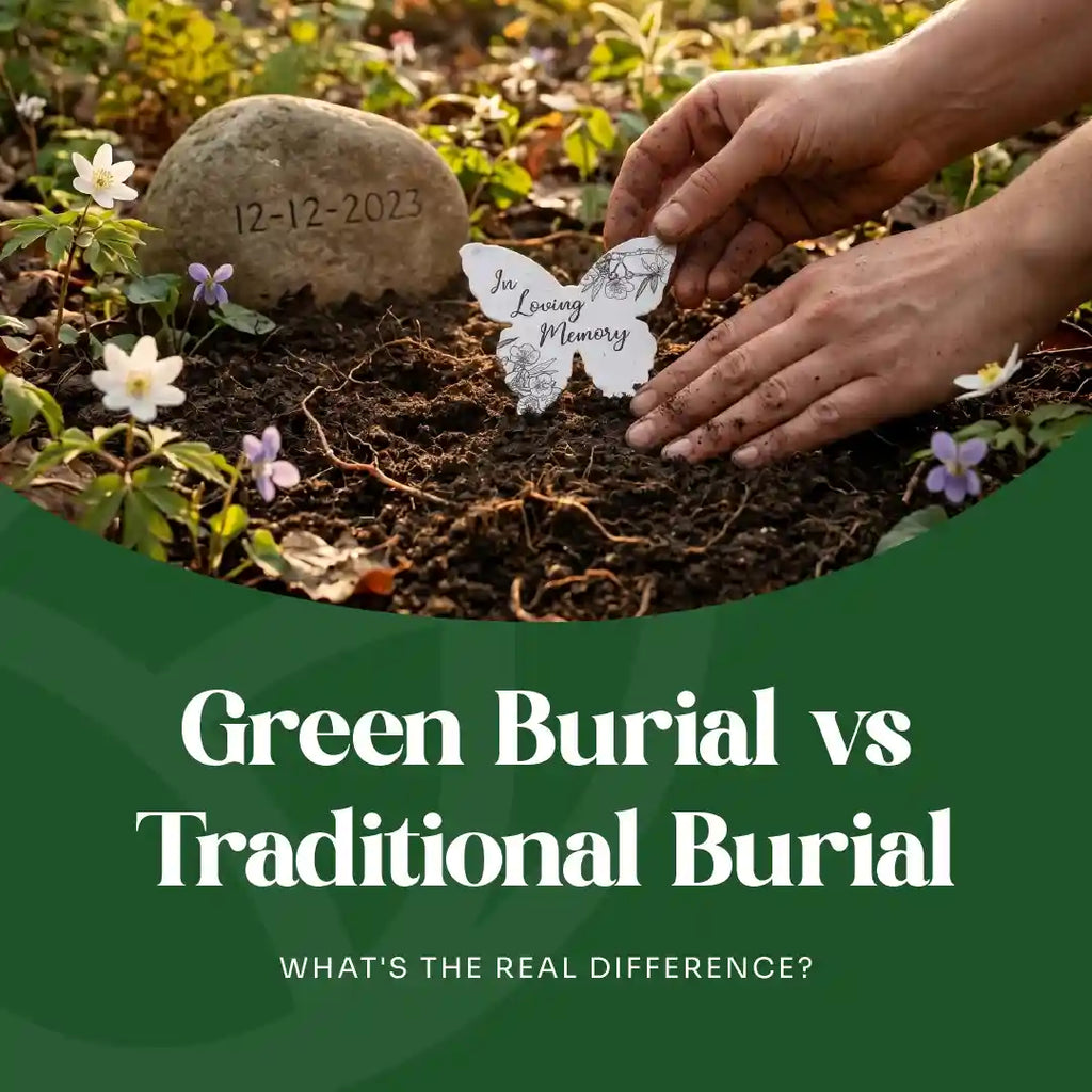 Green Burial Vs Traditional Burial