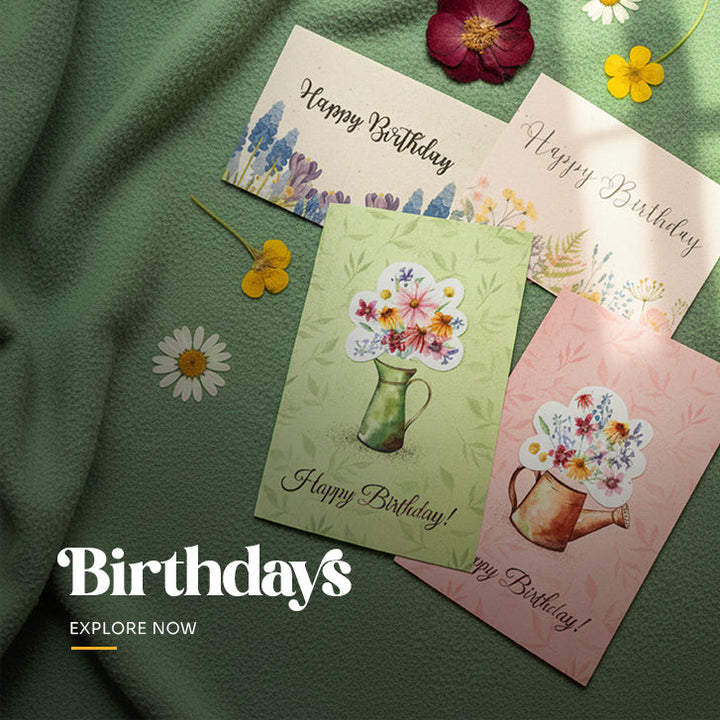 Set of four plantable Happy Birthday cards featuring a watering can and bouquet of wildflowers design in various colors, packaged with brown kraft envelopes by Seed Bloom Gifts