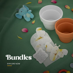 Baby shower planting bundle featuring a small terracotta pot and two plantable seed paper onesie favors printed with 'Thank You for helping our baby bloom' and blue flowers by Seed Bloom Gifts