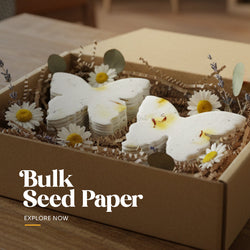Plantable seed paper cut into a butterfly shape, featuring large embedded purple and yellow flower petals suitable for bulk purchase or favors by Seed Bloom Gifts