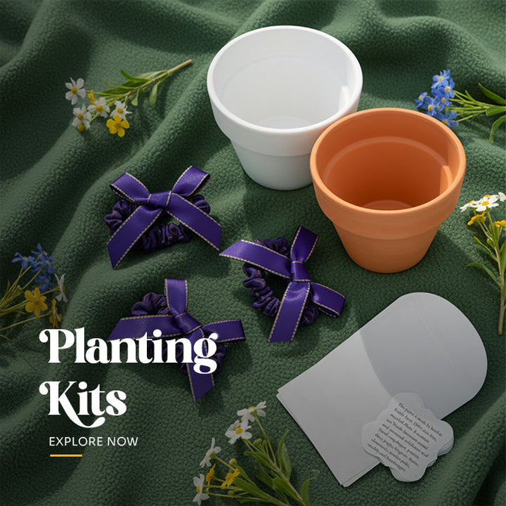 Empty, small, classic terracotta clay pot, a key component used in the Seed Bloom Gifts plantable seed paper planting kits