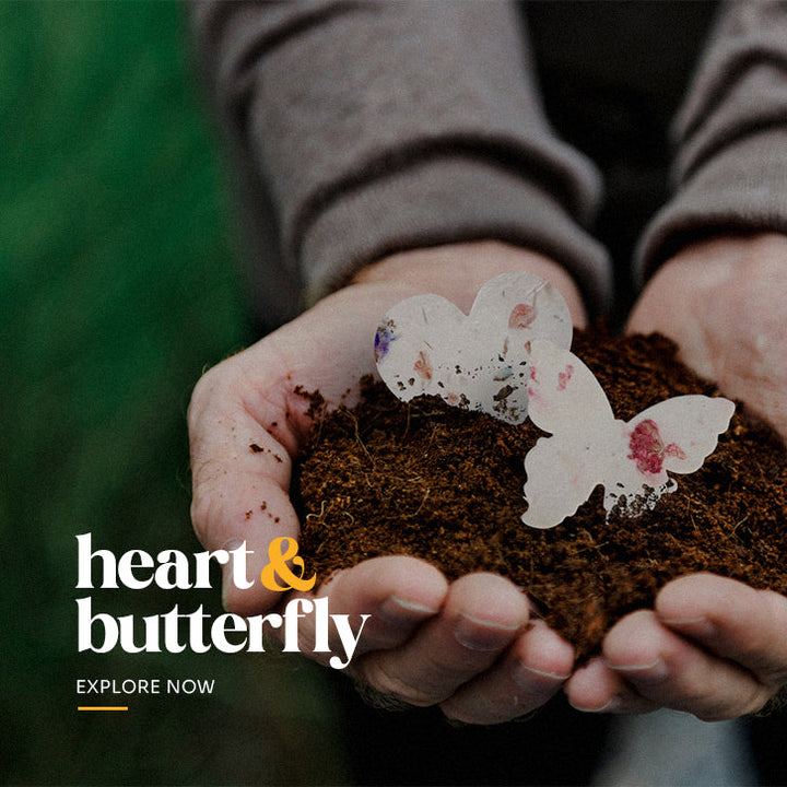 Heart & Butterfly
