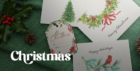 Christmas plantable cards by Seed Bloom Gifts with festive designs on a green textured background
