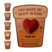 Plantable 3D heart seed paper gift set with illustrated card reading “You Made My Heart Bloom,” featuring a red biodegradable heart embedded with wildflower seeds by Seed Bloom Gifts