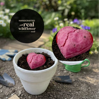 Pink plantable 3d heart made from seed paper placed in a pot of soil, highlighting embedded wildflower seeds by seed bloom gifts