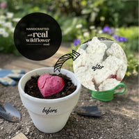 Before-and-after view of a plantable heart seed paper showing intact heart in soil and softened paper revealing wildflower seeds