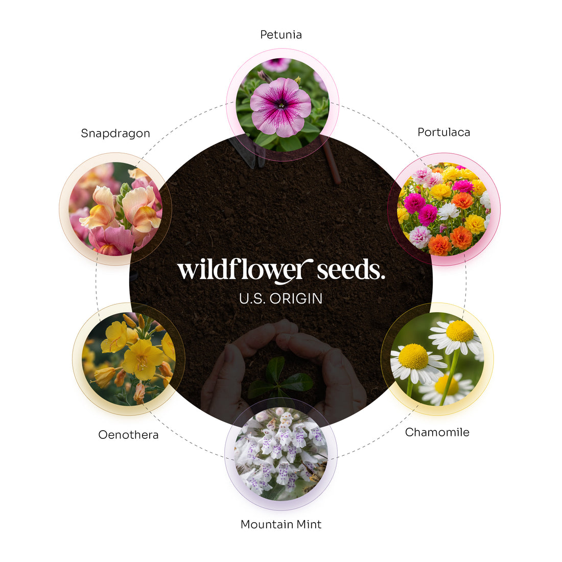 Promotional image of wildflower seeds with images of various flowers around a central circle of soil.