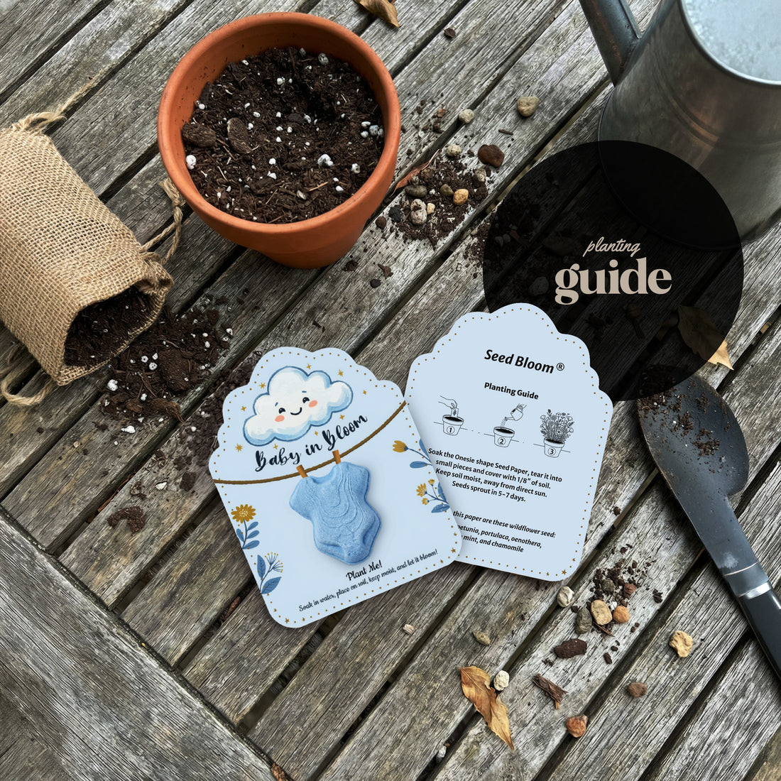 Baby in Bloom baby boy onesie seed paper with Seed Bloom planting guide - light blue card with instructions displayed on wooden surface with terracotta pot, soil, watering can, and gardening tools