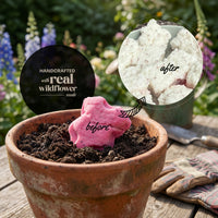 Onesie seed paper before and after sprouting - handcrafted with real wildflower seeds, showing pink onesie in soil and bloomed white flowers in garden