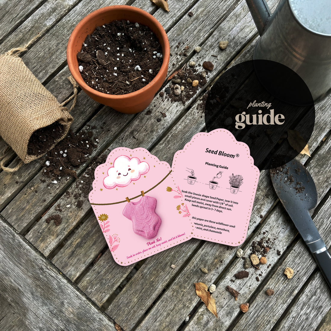 Baby in Bloom onesie seed paper with Seed Bloom planting guide - pink card with instructions displayed on wooden surface with terracotta pot, soil, watering can, and gardening tools