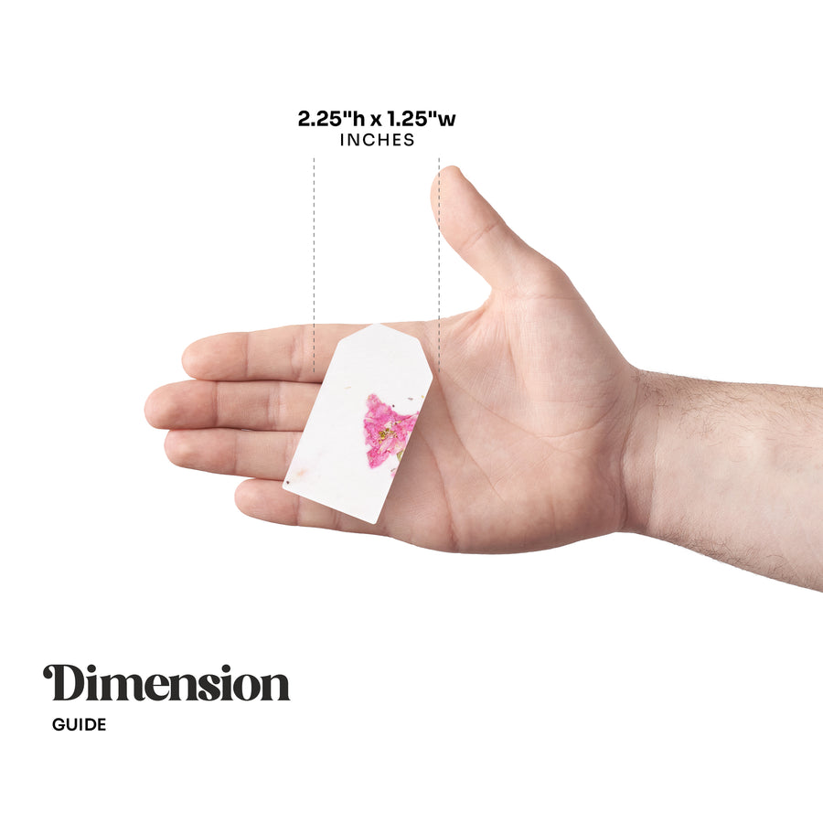 A hand holding a Pink Blank Tag Plantable Seed Paper by Seed Bloom Gifts with a pink floral inclusion, illustrating its dimensions of 2.25"h x 1.25"w INCHES against a white background.