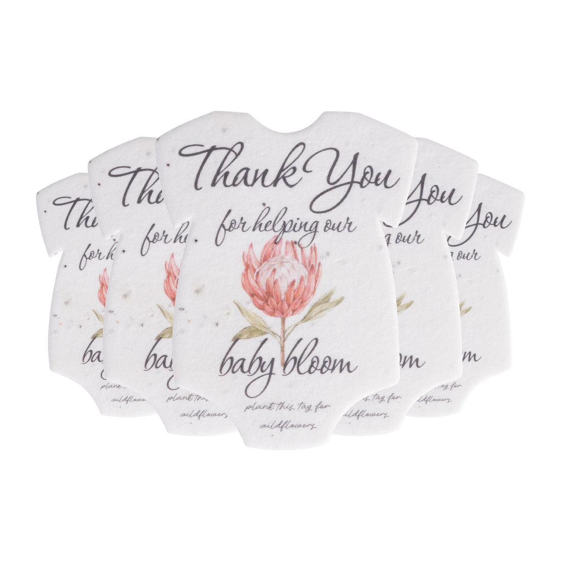 Onesie Plantable Seed Paper – Set of 5 (Protea) - Seed Bloom Gifts