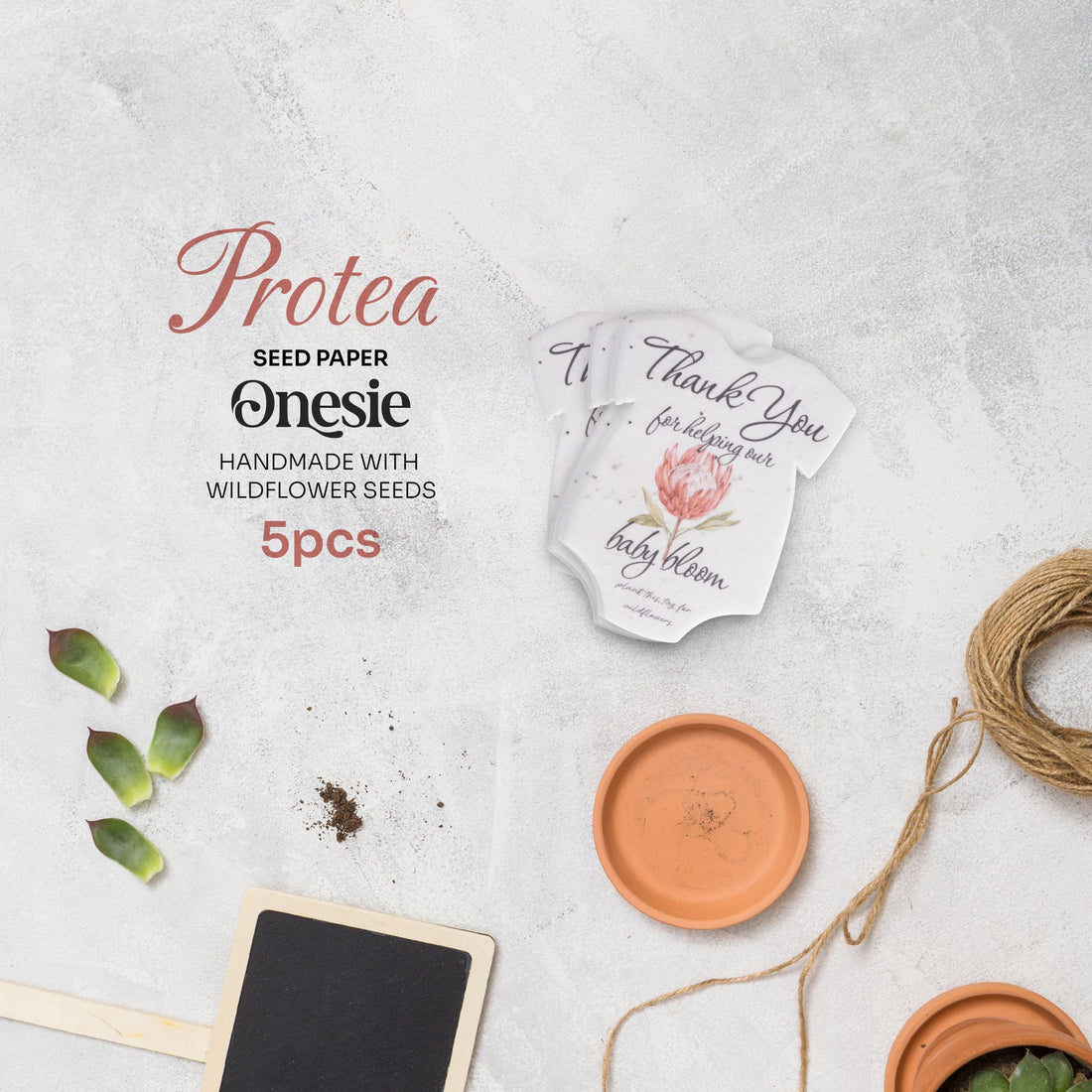 Onesie Plantable Seed Paper – Set of 5 (Protea) - Seed Bloom Gifts