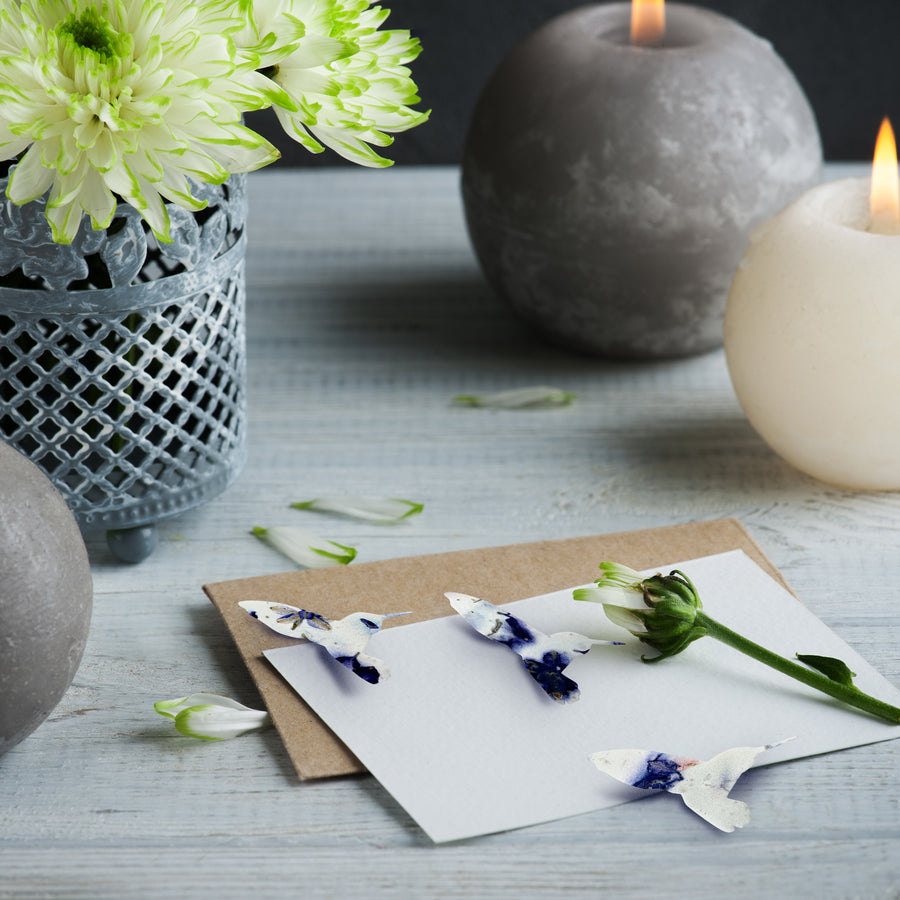 Purple Hummingbird Plantable Seed Paper – Set of 24 - Seed Bloom Gifts