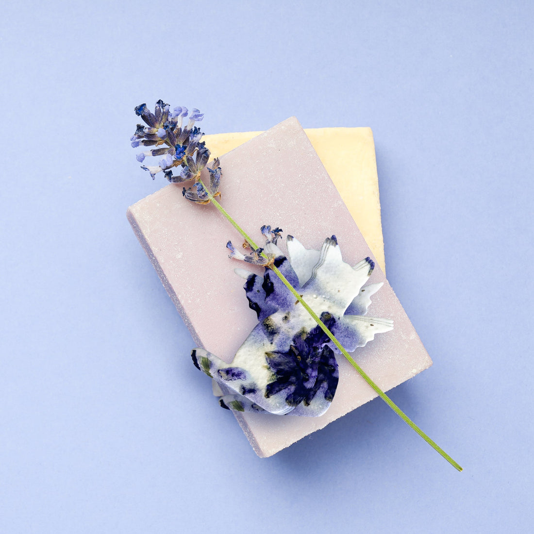 Purple Cat Plantable Seed Paper – Set of 24 - Seed Bloom Gifts