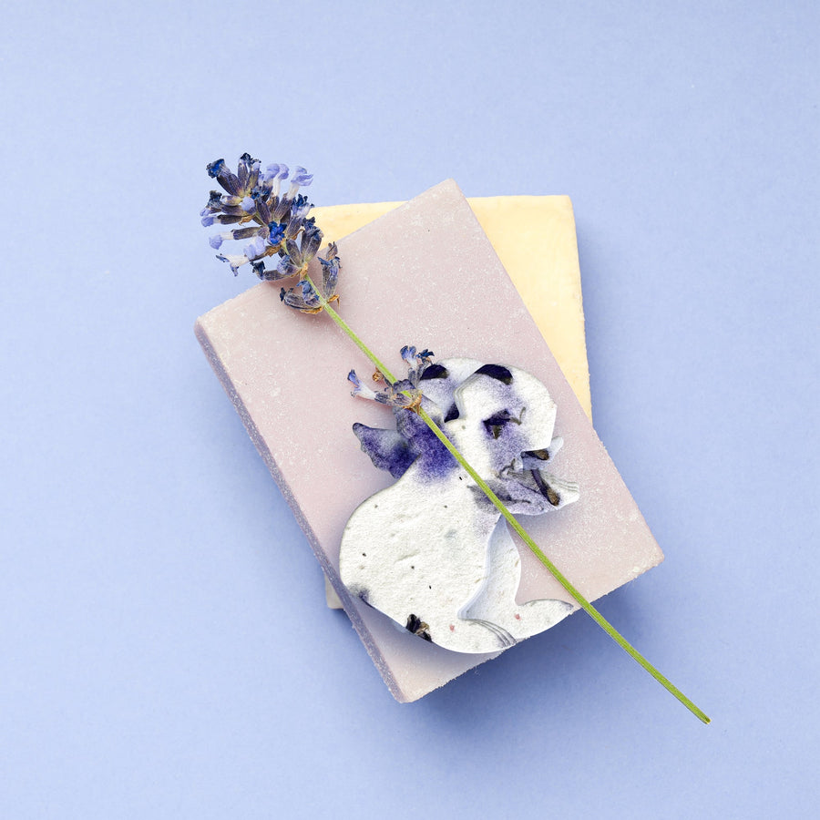 Purple Dog Plantable Seed Paper – Set of 24 - Seed Bloom Gifts