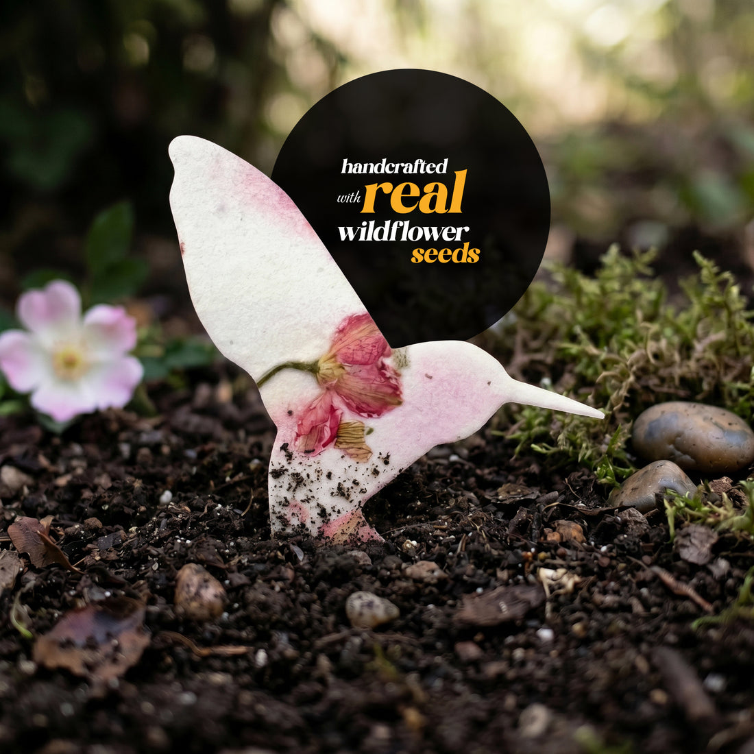 A person holds a small bird with a flower, highlighting the Hummingbird Memorial Plantable Seed Pape