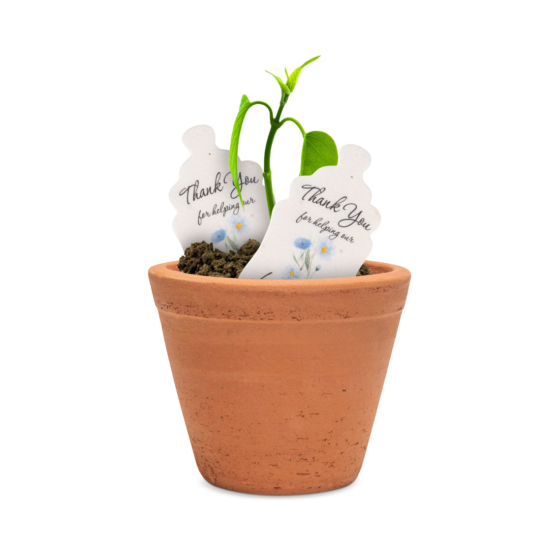 Baby Bottles Plantable Seed Paper –  Set of 15 (Blue) - Seed Bloom Gifts