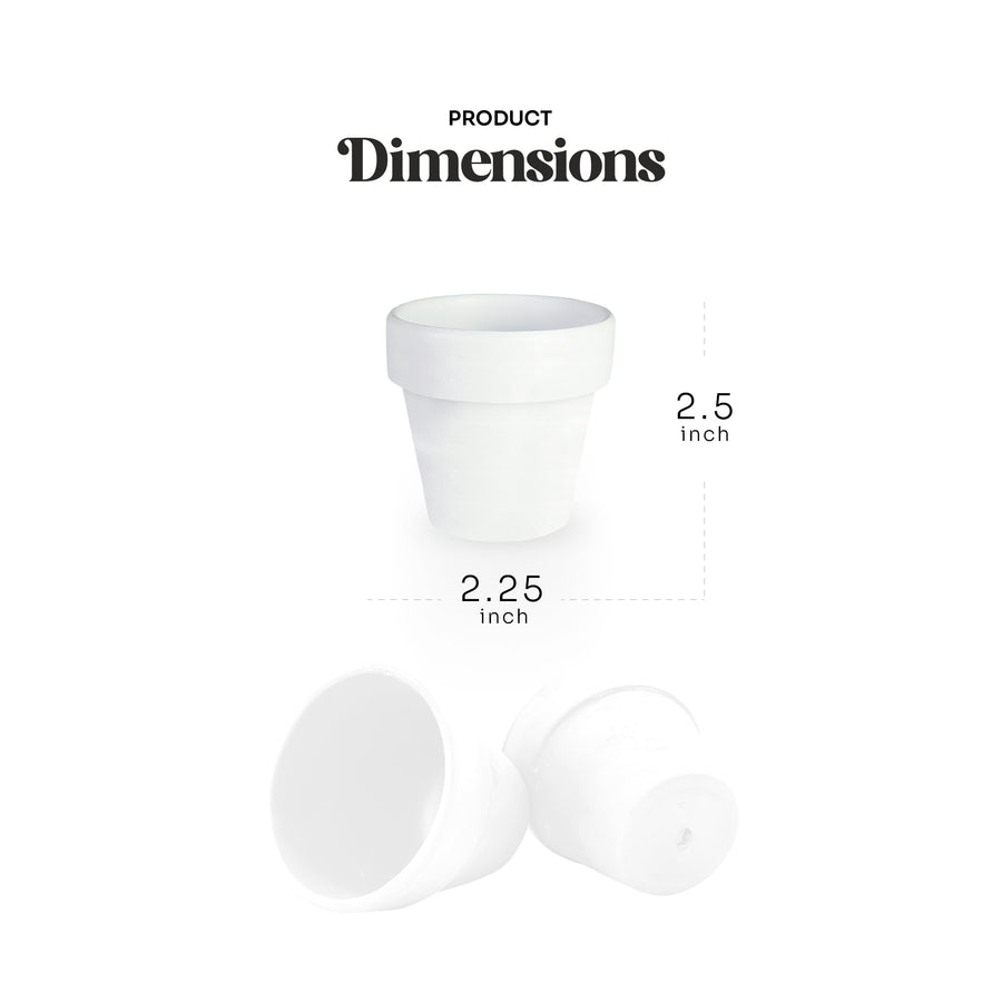 Mini White Terracotta Pots - Set of 12