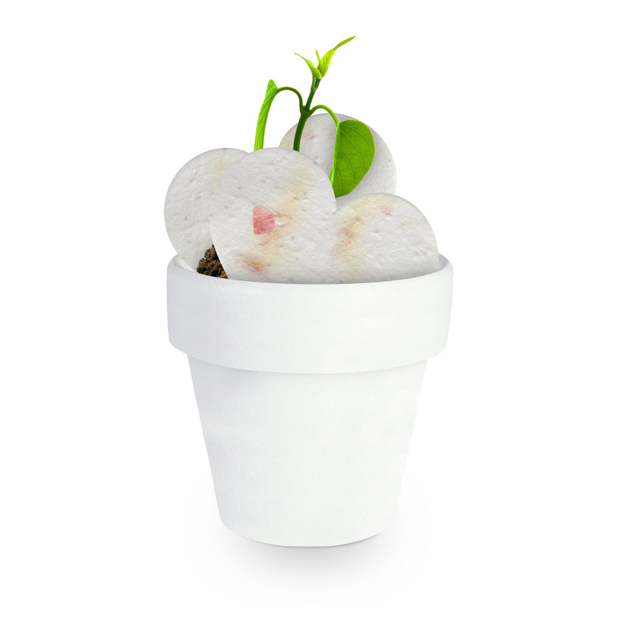 Mini White Terracotta Pots - Set of 12