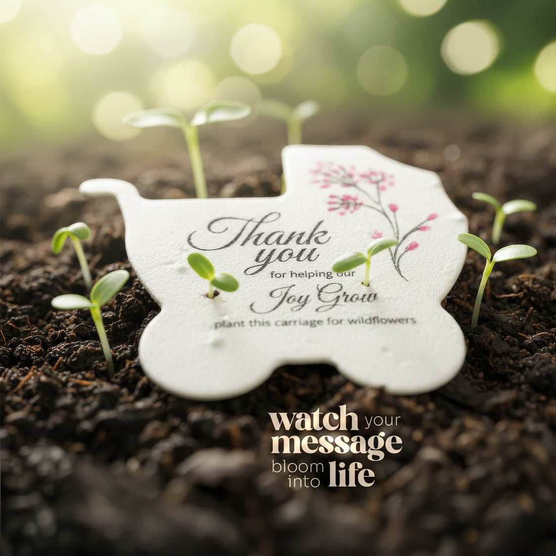 Plantable Baby Carriages – Baby Shower Favors