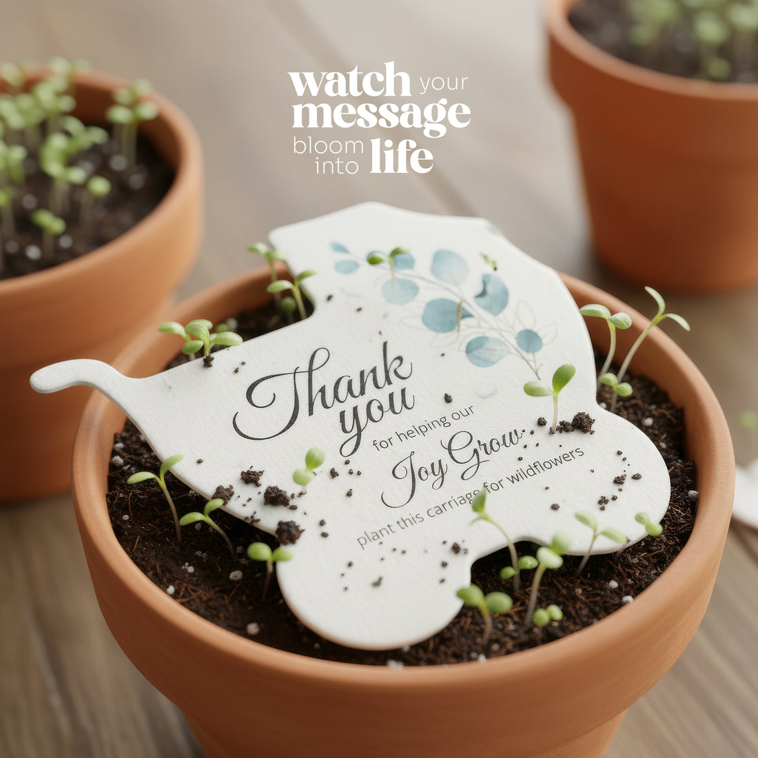 Potted plant with a baby carriage shaped seed paper baby shower favor by Seed Bloom Gifts  reading &