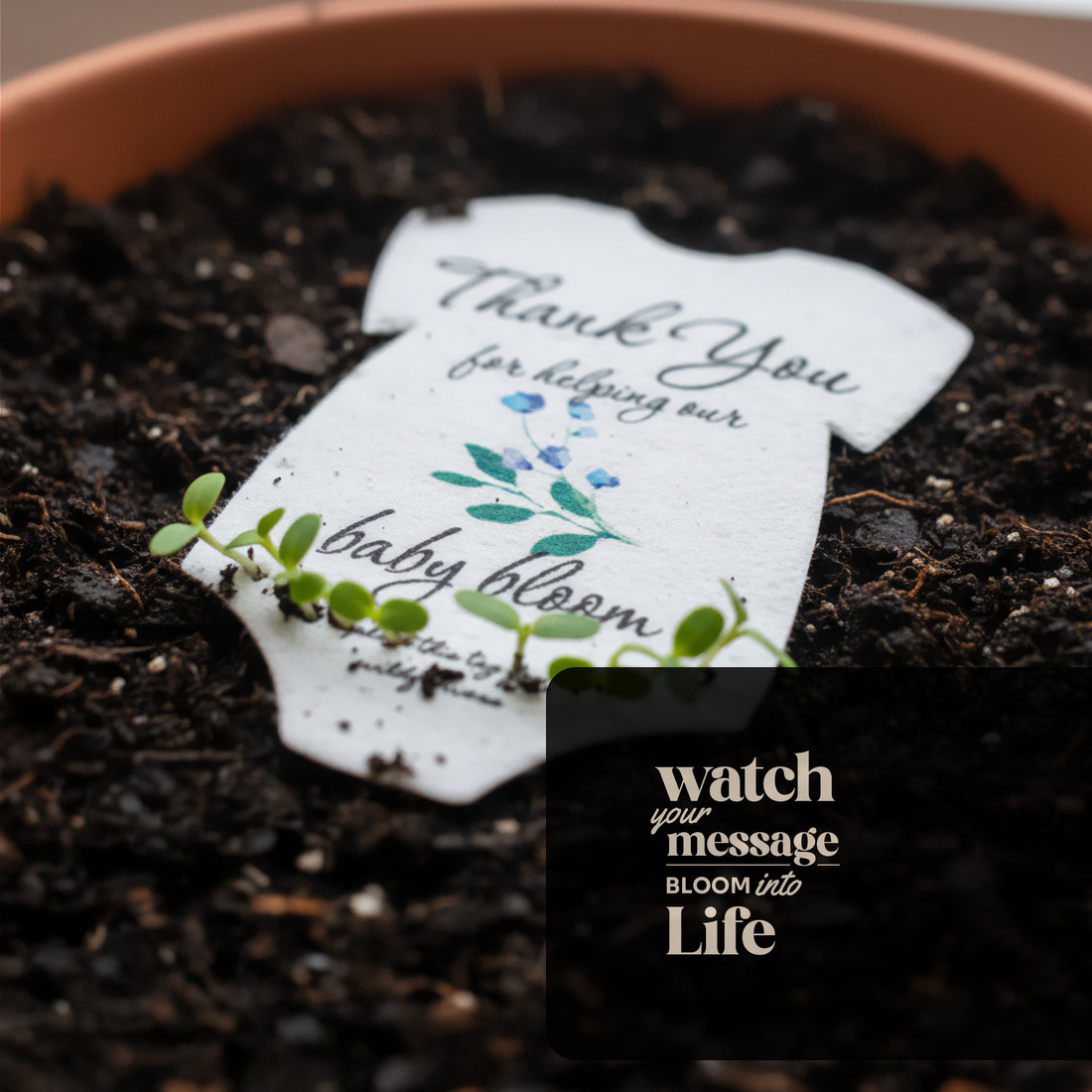 Close-up of a sprouting plantable seed paper onesie baby shower favor placed in soil, with small green seedlings emerging around the card that reads “Thank you for helping our baby bloom.”