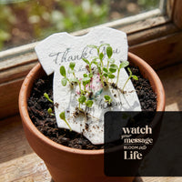 Sprouting plantable seed paper onesie baby shower favor placed in a terracotta pot by a window, with green seedlings growing through the card that reads “Thank you for helping our baby bloom.”